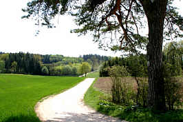 Feldweg