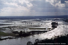 Hochwasser Donaustauf Foto Herbert Winkler
