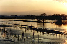 Abenddmmerung am Strom