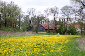 Blhende Wiesen, Fotografie Herbert Winkler