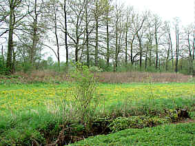 Im Kferinger Naturparadies, Fotografie Herbert Winkler