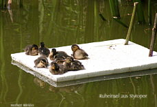 Styroprinsel als sicherer Platz, Fotografie Herbert Winkler