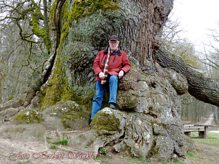Wurzelberg Südwesr und Herbert