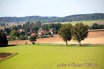 Pappeln zwischen den Orten