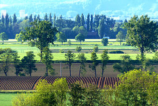 Blick nach Neutraubling - Foto Herbert Winker