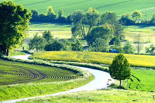 Blick ins Thalmassinger Land - Foto Herbert Winkler