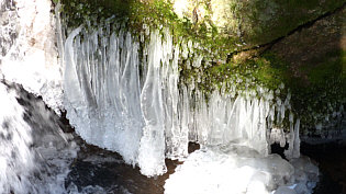 Zapfenwand  Eiskristalle Fotografie von Herbert Winkler