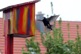 Landeanflug, Fotografie Herbert Winkler