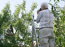 Winkler am Nest, Fotograf Herbert Winkler