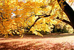 Regensburg-Drnbergpark Herbert Winkler