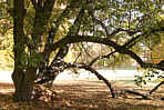 Regensburg Drnbergpark Herbert Winkler