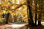 Regensburg Drnbergpark Herbert Winkler