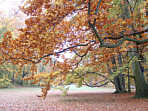 Regensburg Drnbergpark