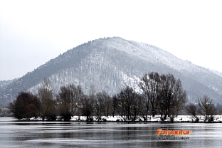 Scheuchenberg - bei Bach und Donau